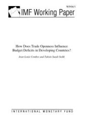 book How Does Trade Openness Influence Budget Deficits in Developing Countries?