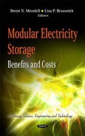 book Modular Electricity Storage : Benefits and Costs