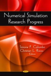 book Numerical Simulation Research Progress