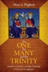 book The One, the Many, and the Trinity : Joseph A. Bracken and the Challenge of Process Metaphysics