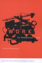 book Work in Tumultuous Times : Critical Perspectives