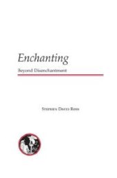 book Enchanting : Beyond Disenchantment