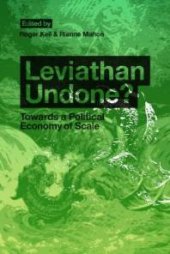 book Leviathan Undone? : Towards a Political Economy of Scale