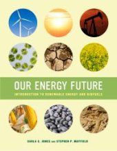 book Our Energy Future : Introduction to Renewable Energy and Biofuels