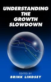 book Understanding the Growth Slowdown