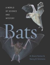 book Bats: A World of Science and Mystery