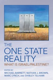 book The One State Reality: What Is Israel/Palestine?