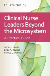 book Clinical Nurse Leaders Beyond the Microsystem: A Practical Guide