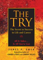 book The Try: The Secret to Success in Life and Career