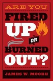 book Are You Fired up or Burned Out?