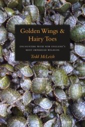 book Golden Wings and Hairy Toes : Encounters with New England's Most Imperiled Wildlife