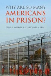 book Why Are So Many Americans in Prison?