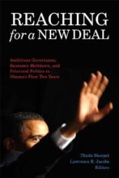 book Reaching for a New Deal : Ambitious Governance, Economic Meltdown, and Polarized Politics in Obama's First Two Years