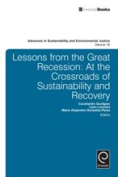 book Lessons from the Great Recession : At the Crossroads of Sustainability and Recovery