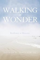 book Walking in Wonder : Resilience in Ministry