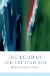 book The Echo of Ice Letting Go