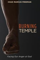 book Burning Temple : Facing Our Anger at God