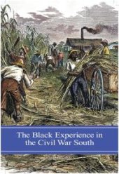 book The Black Experience in the Civil War South