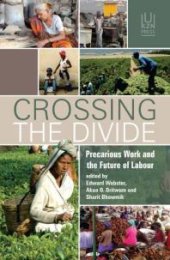 book Crossing the Divide : Precarious Work and the Future of Labour