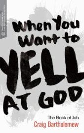 book When You Want to Yell at God : The Book of Job