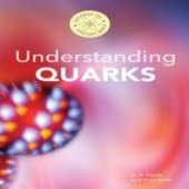 book Understanding Quarks