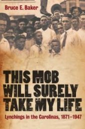 book This Mob Will Surely Take My Life : Lynchings in the Carolinas, 1871-1947