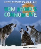 book How Animals Communicate