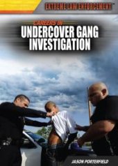 book Careers in Undercover Gang Investigation