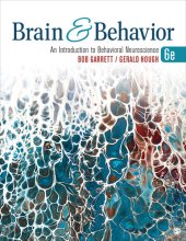 book Brain & Behavior An Introduction to Behavioral Neuroscience