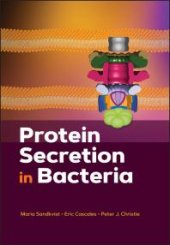 book Protein Secretion in Bacteria