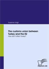 book The customs union between Turkey and the EU : How did it affect Turkey?