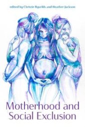 book Motherhood and Social Exclusion