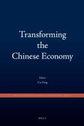 book Transforming the Chinese Economy