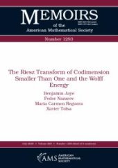 book The Riesz Transform of Codimension Smaller Than One and the Wolff Energy