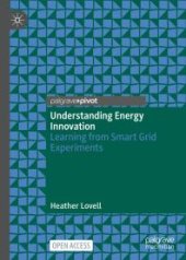 book Understanding Energy Innovation : Learning from Smart Grid Experiments