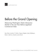 book Before the Grand Opening: Measuring Washington State’s Marijuana Market in the Last Year Before Legalized Commercial Sales