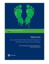 book Sticky Feet: How Labor Market Frictions Shape the Impact of International Trade on Jobs and Wages