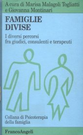 book Famiglie divise. I diversi percorsi fra giudici, consulenti e terapeuti