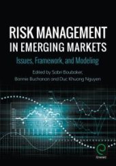 book Risk Management in Emerging Markets: Issues, Framework, and Modeling