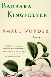 book Small Wonder