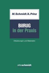 book BilRUG in der Praxis: Erläuterungen und Materialien