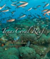 book Texas Coral Reefs