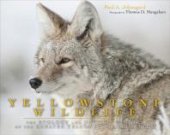 book Yellowstone Wildlife: Ecology and Natural History of the Greater Yellowstone Ecosystem