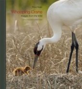 book Whooping Crane: Images from the Wild