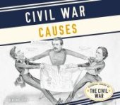 book Civil War Causes