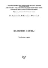 book Колебания и волны: учебное пособие