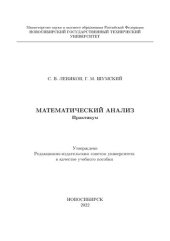 book Математический анализ. Практикум: учебное пособие