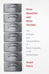 book More Beautiful and More Terrible: The Embrace and Transcendence of Racial Inequality in the United States