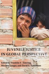 book Juvenile Justice in Global Perspective