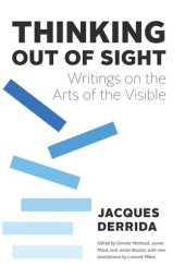 book Thinking Out of Sight: Writings on the Arts of the Visible